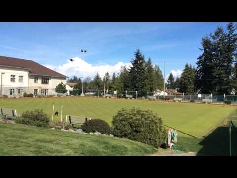 Crow Swarm at Parksville Lawn Bowling Club